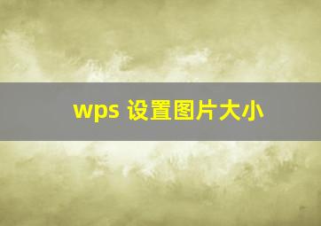 wps 设置图片大小